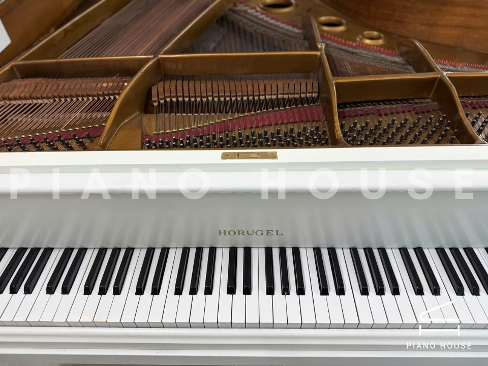 Grand Piano Horugel