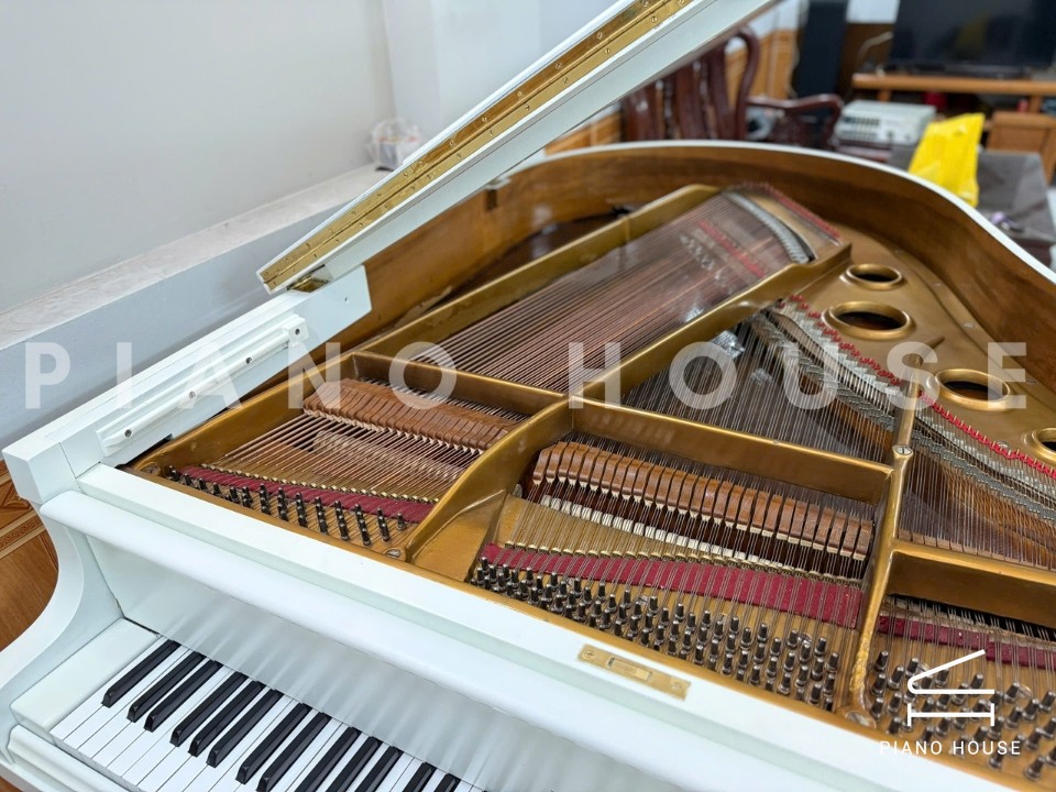 Grand Piano Horugel