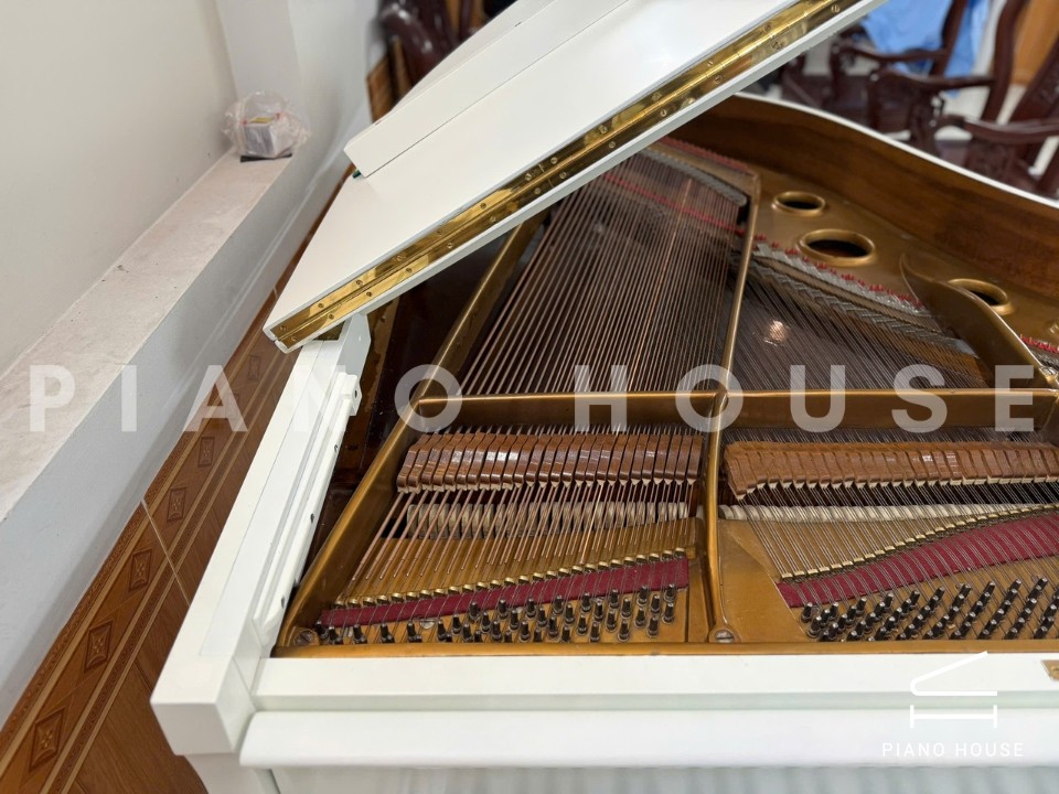 Grand Piano Horugel