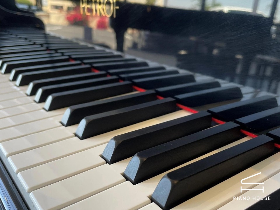 P-237 MONSOON (USED)