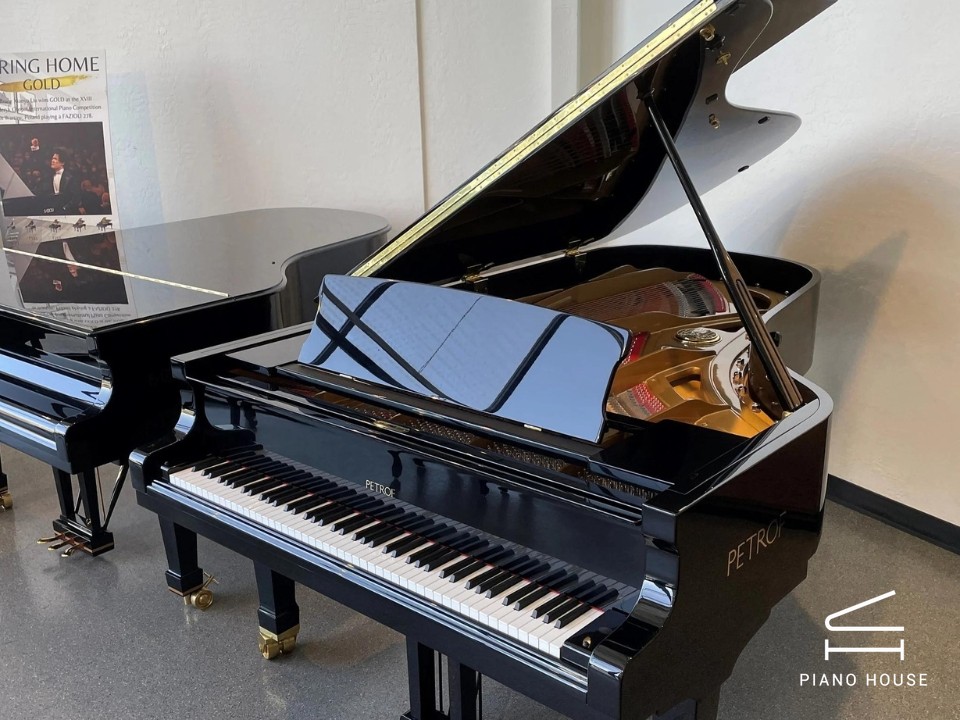 P-237 MONSOON (USED)