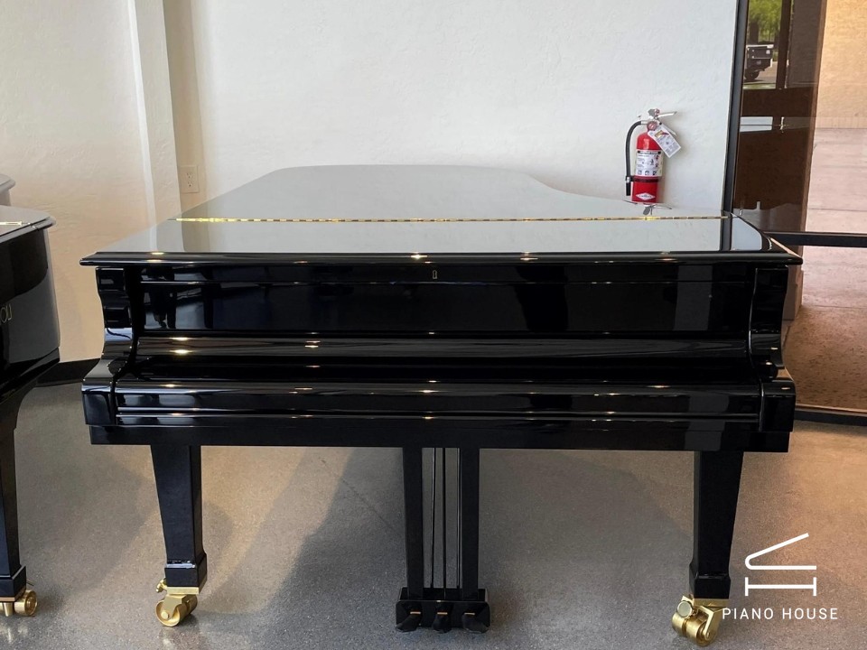 P-237 MONSOON (USED)