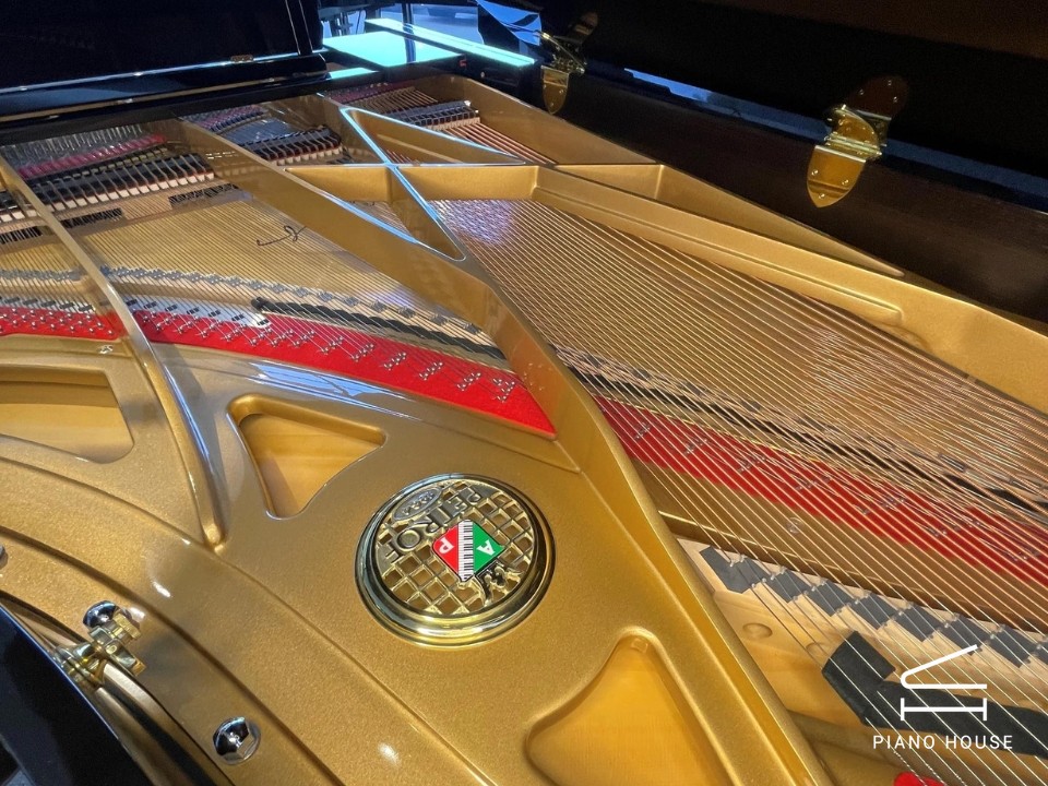 P-237 MONSOON (USED)