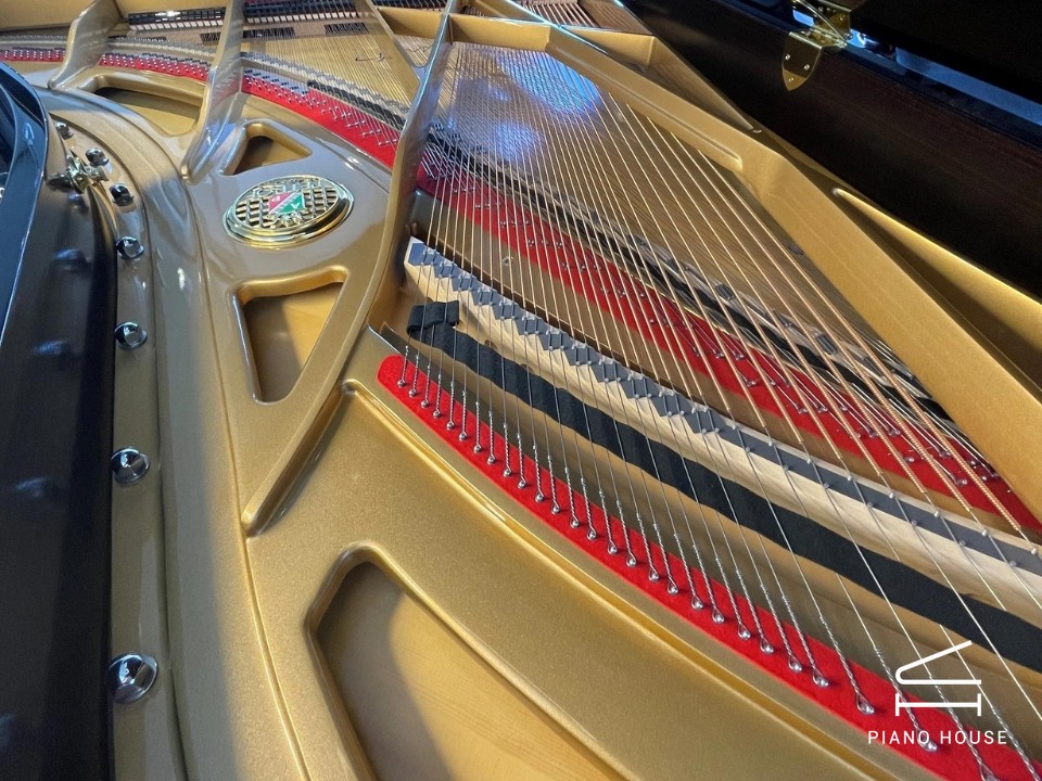 P-237 MONSOON (USED)