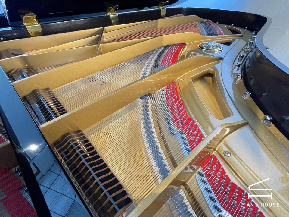 P-237 MONSOON (USED)