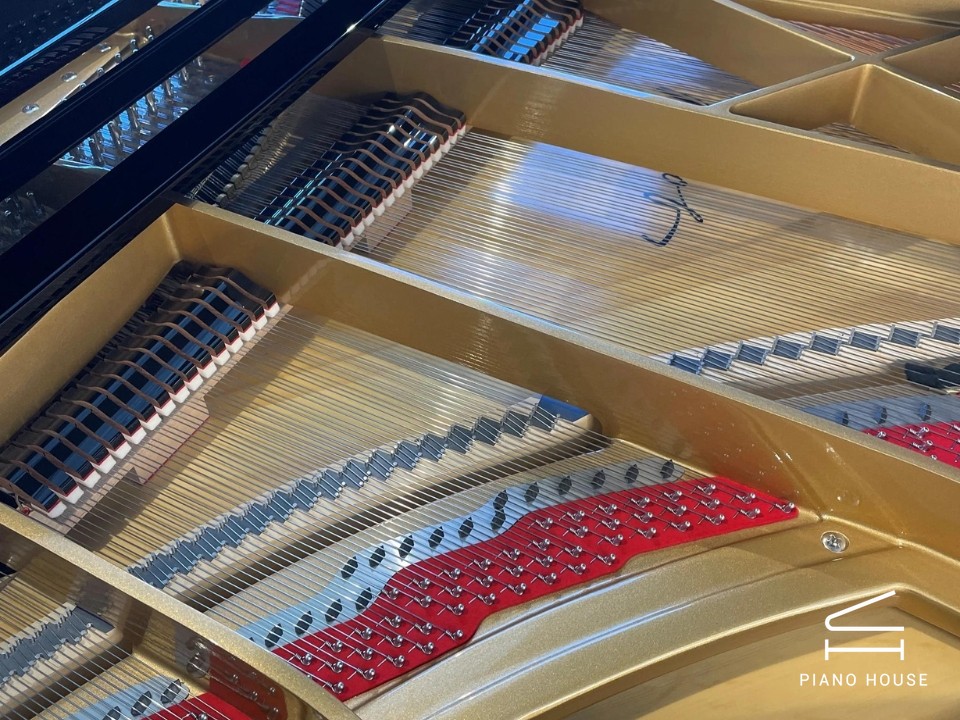 P-237 MONSOON (USED)