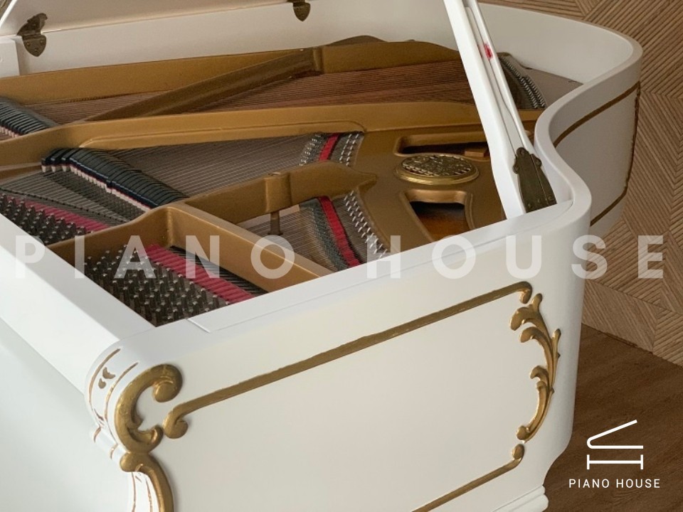 [SPECIAL] PETROF BREEZE ROCOCO