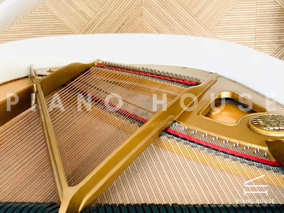 [SPECIAL] PETROF BREEZE ROCOCO