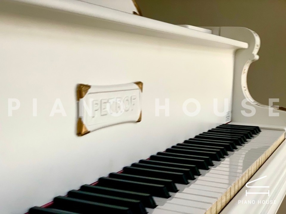 [SPECIAL] PETROF BREEZE ROCOCO