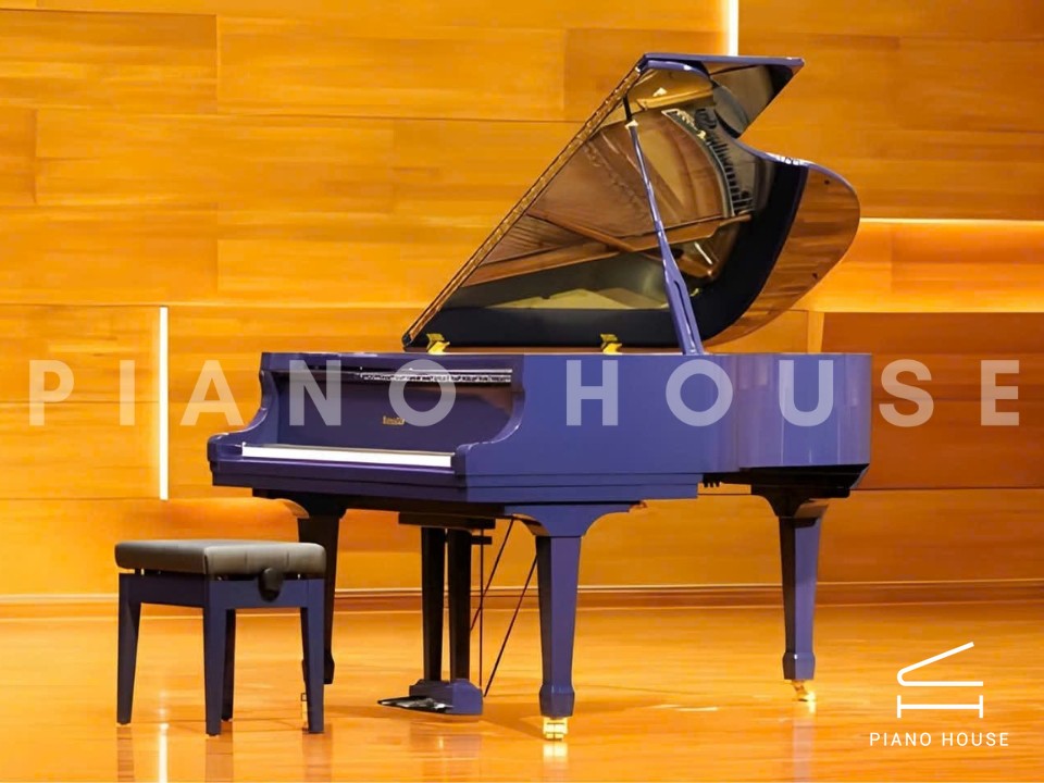 Ritmuller RS175 (Polished Blue)