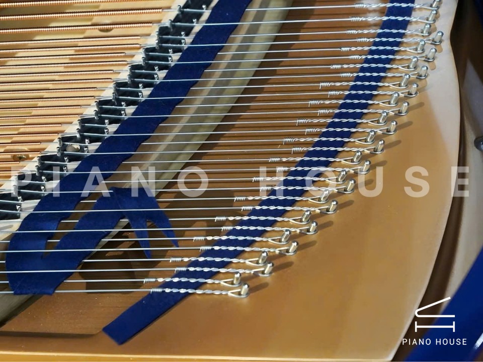 Ritmuller RS175 (Polished Blue)