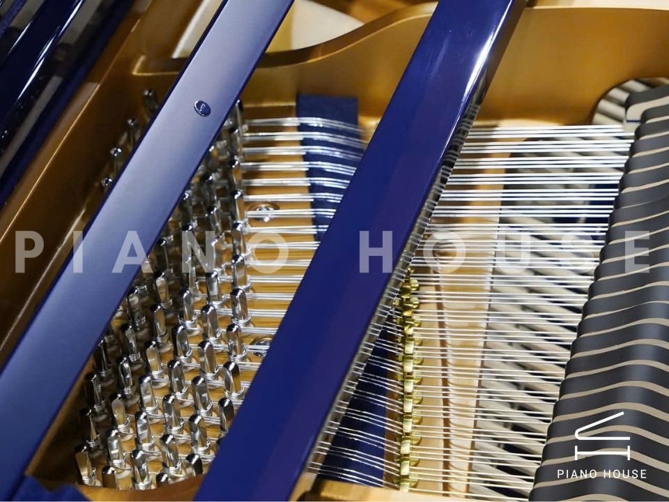 Ritmuller RS175 (Polished Blue)