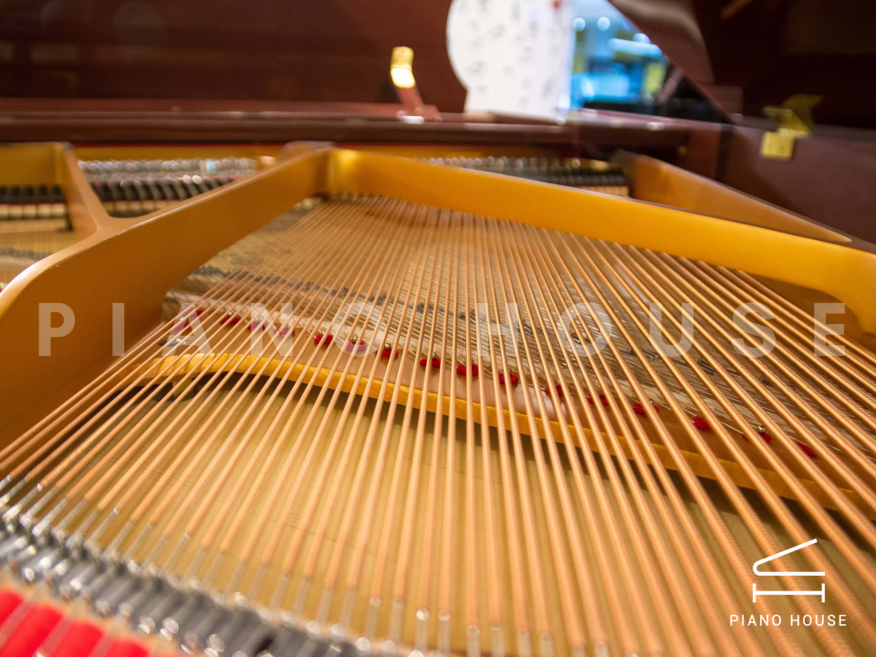 Ritmuller R8 BROWN [ SPECIAL COLOR]