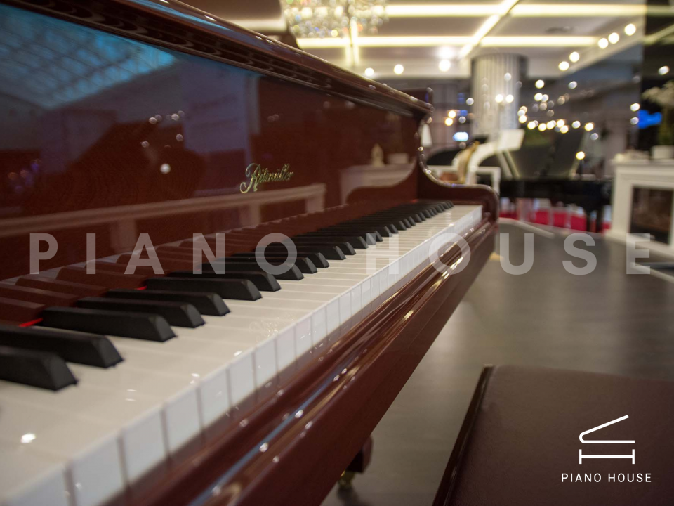 Ritmuller R8 BROWN [ SPECIAL COLOR]