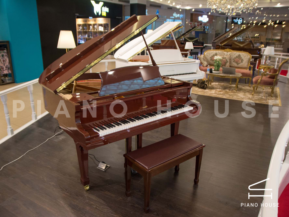 Ritmuller R8 BROWN [ SPECIAL COLOR]