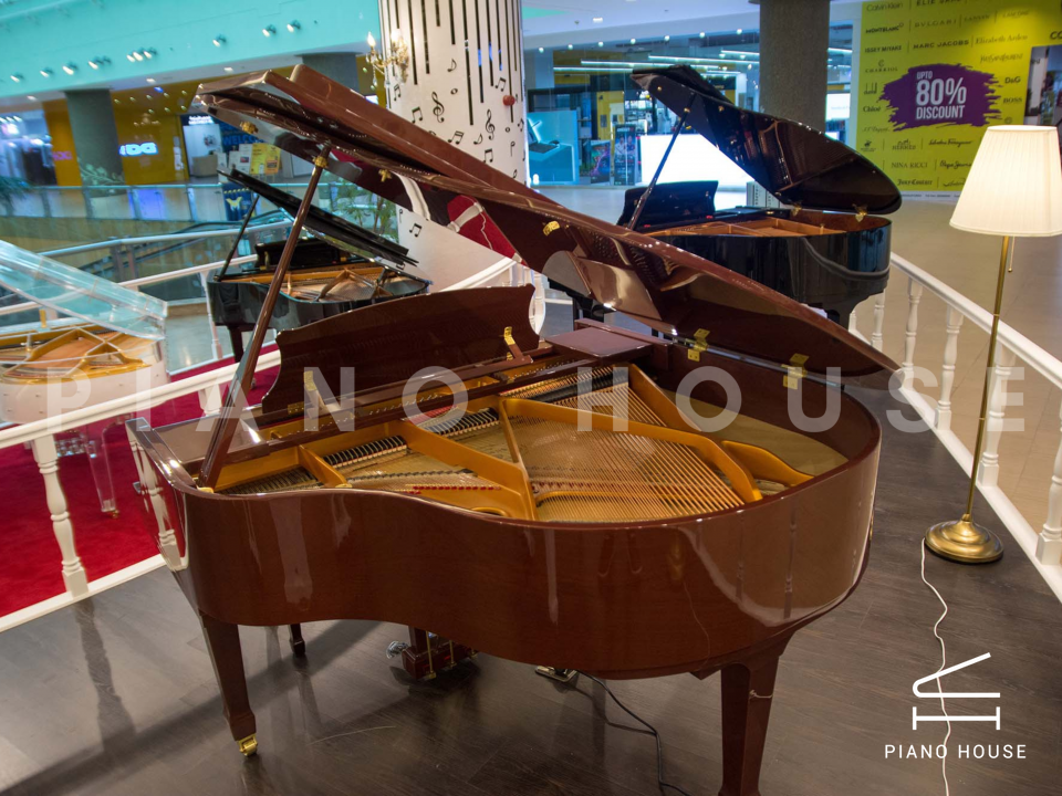 Ritmuller R8 BROWN [ SPECIAL COLOR]