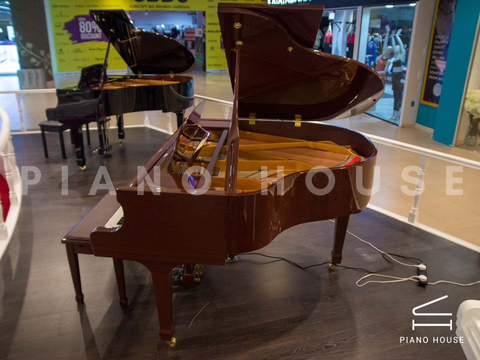 Ritmuller R8 BROWN [ SPECIAL COLOR]