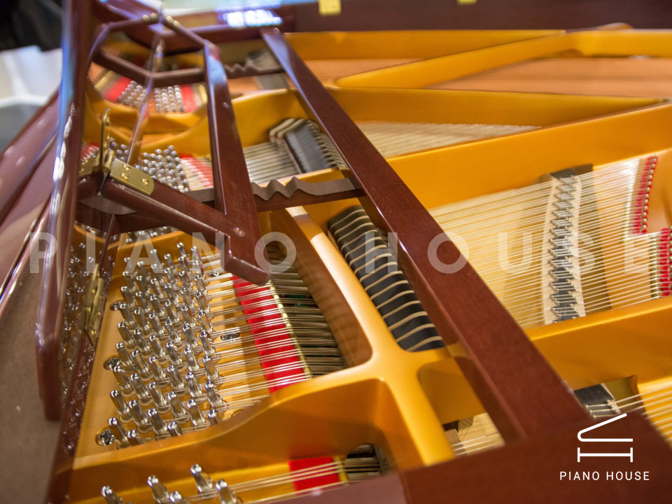 Ritmuller R8 BROWN [ SPECIAL COLOR]