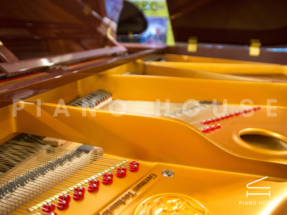 Ritmuller R8 BROWN [ SPECIAL COLOR]