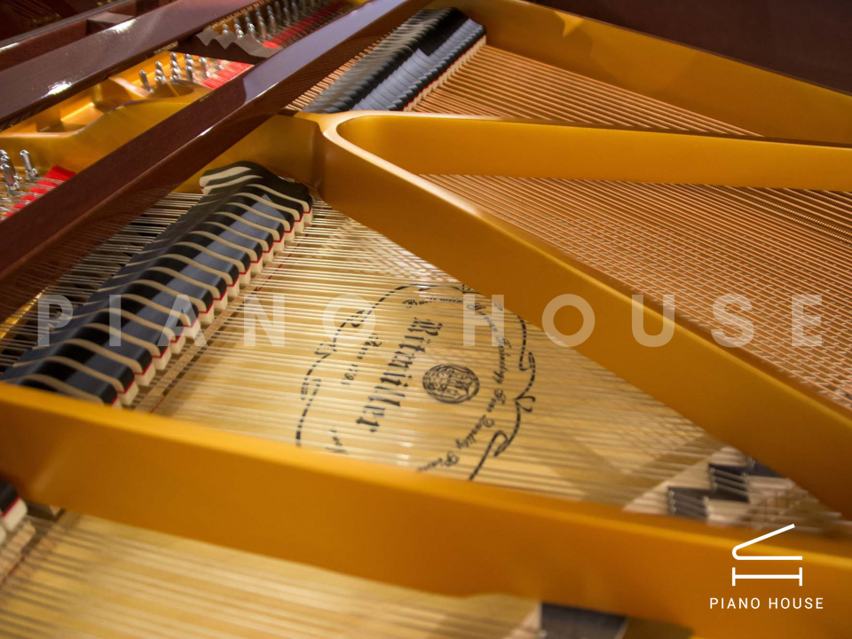 Ritmuller R8 BROWN [ SPECIAL COLOR]