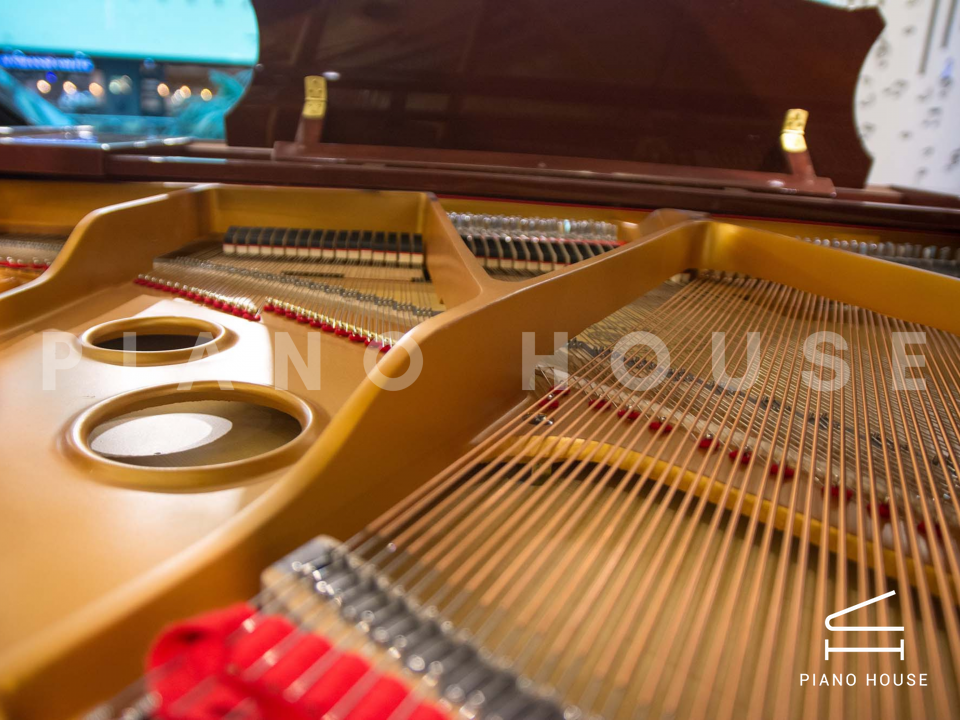 Ritmuller R8 BROWN [ SPECIAL COLOR]