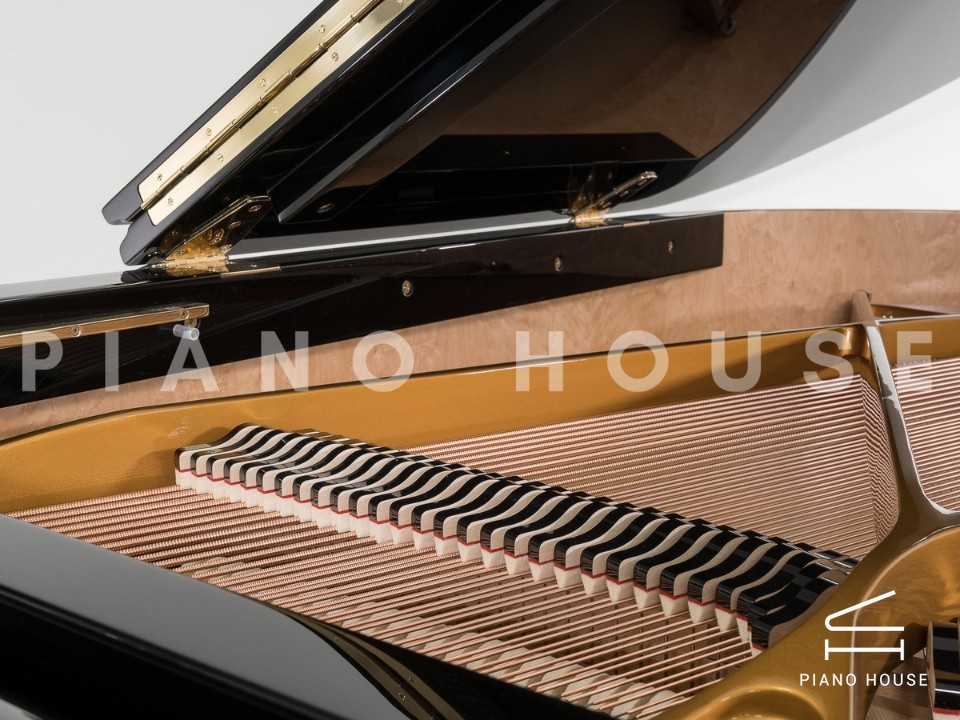 Sauter Alpha 160 - Polished Black