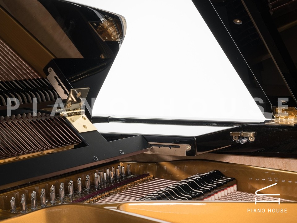 Sauter Alpha 160 - Polished Black