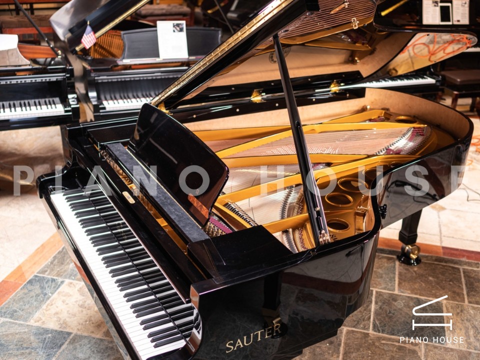 Sauter 220 Omega (USED)