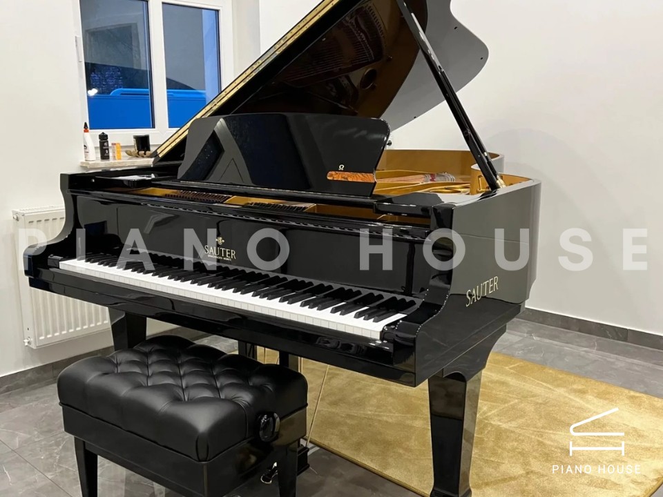 Sauter 220 Omega (USED)