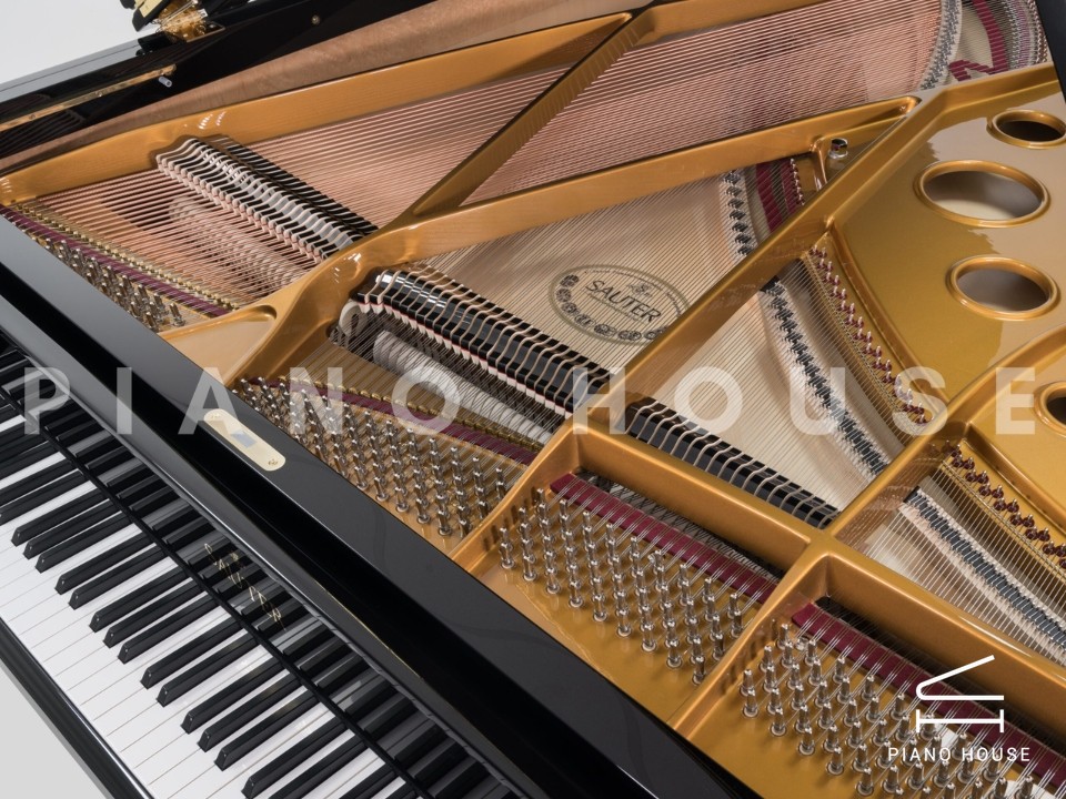 Sauter Delta 185 | Salon Grand Piano