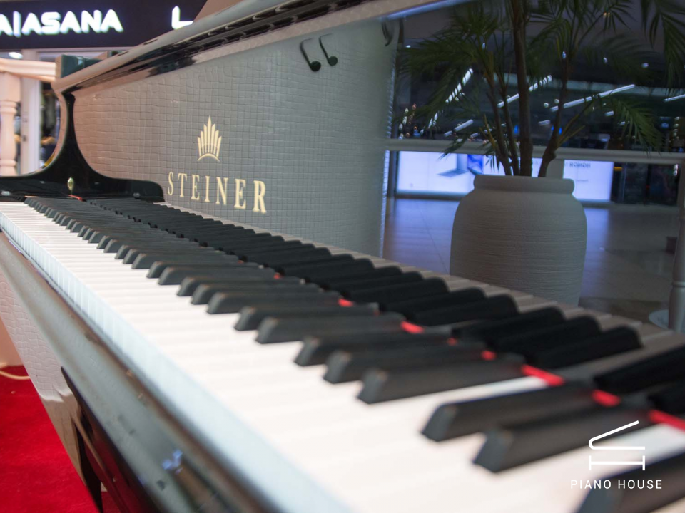 Steiner GP-152 Black Self-Playing