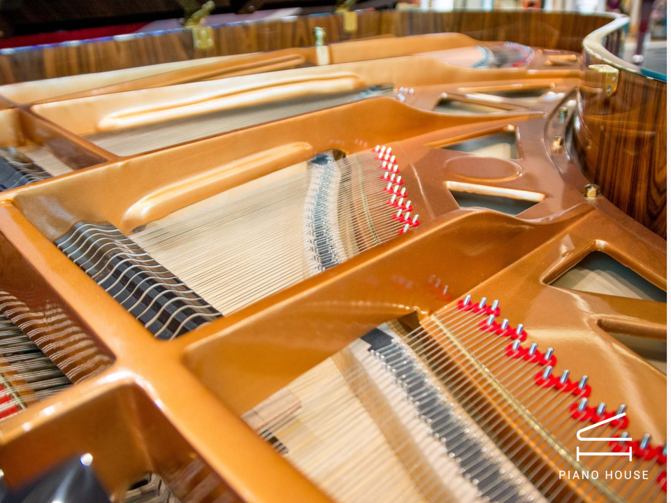 Steiner GP-152 Black Self-Playing