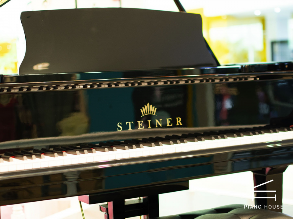 Steiner GP-152 Black Self-Playing