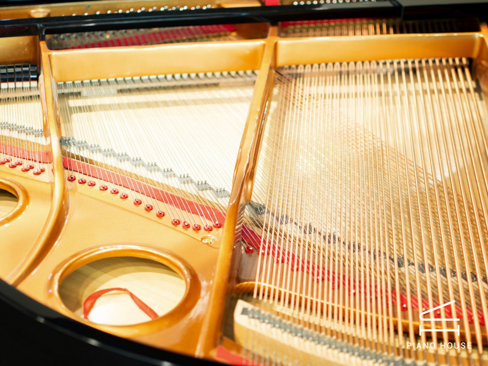 Steiner GP-152 Black Self-Playing