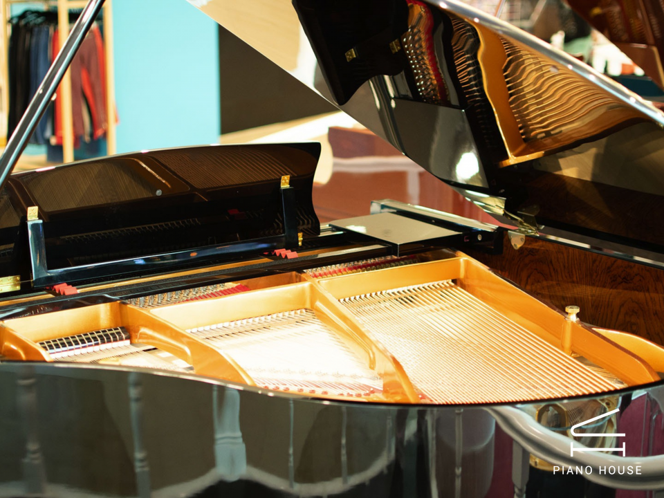 Steiner GP-152 Black Self-Playing