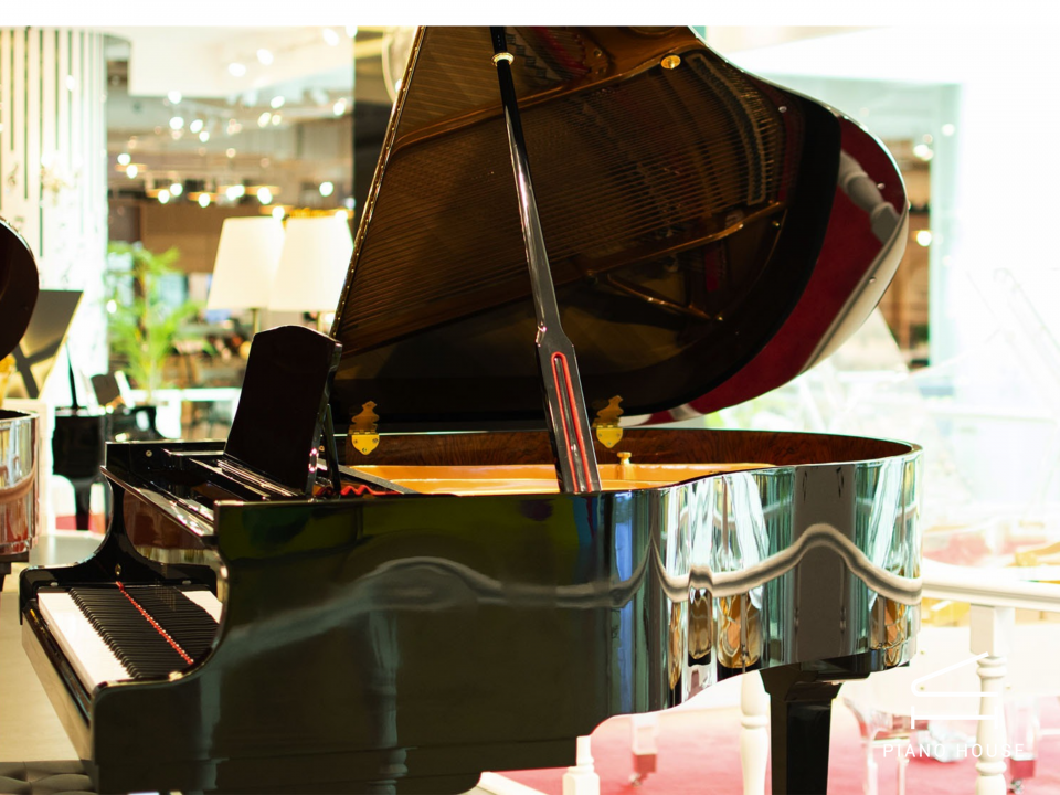 Steiner GP-152 Black Self-Playing