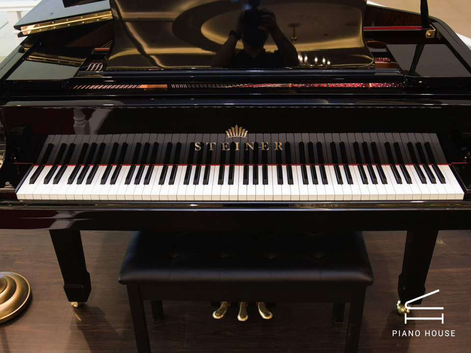 Steiner GP-152 Black Self-Playing