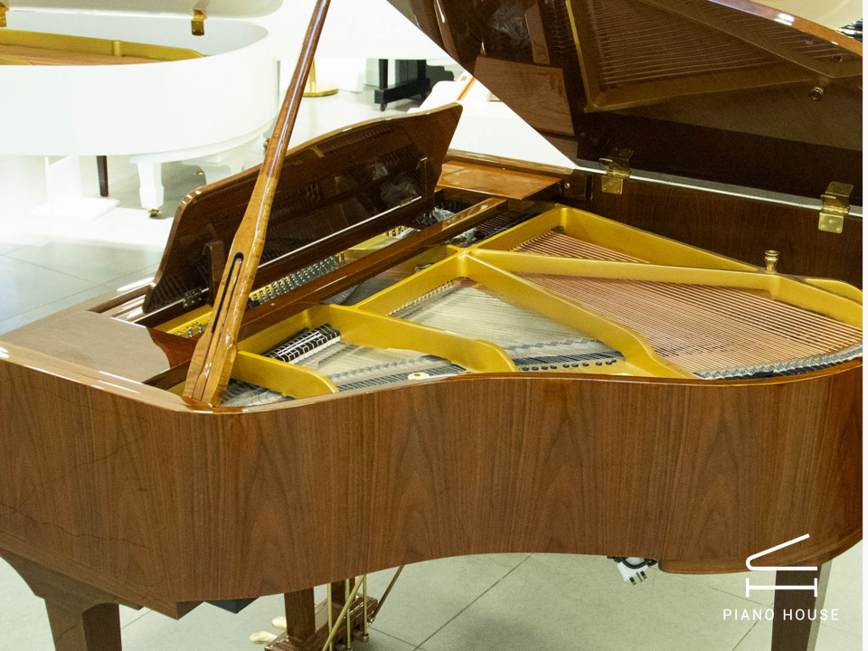 Steiner GP-152 Brown Self-Playing