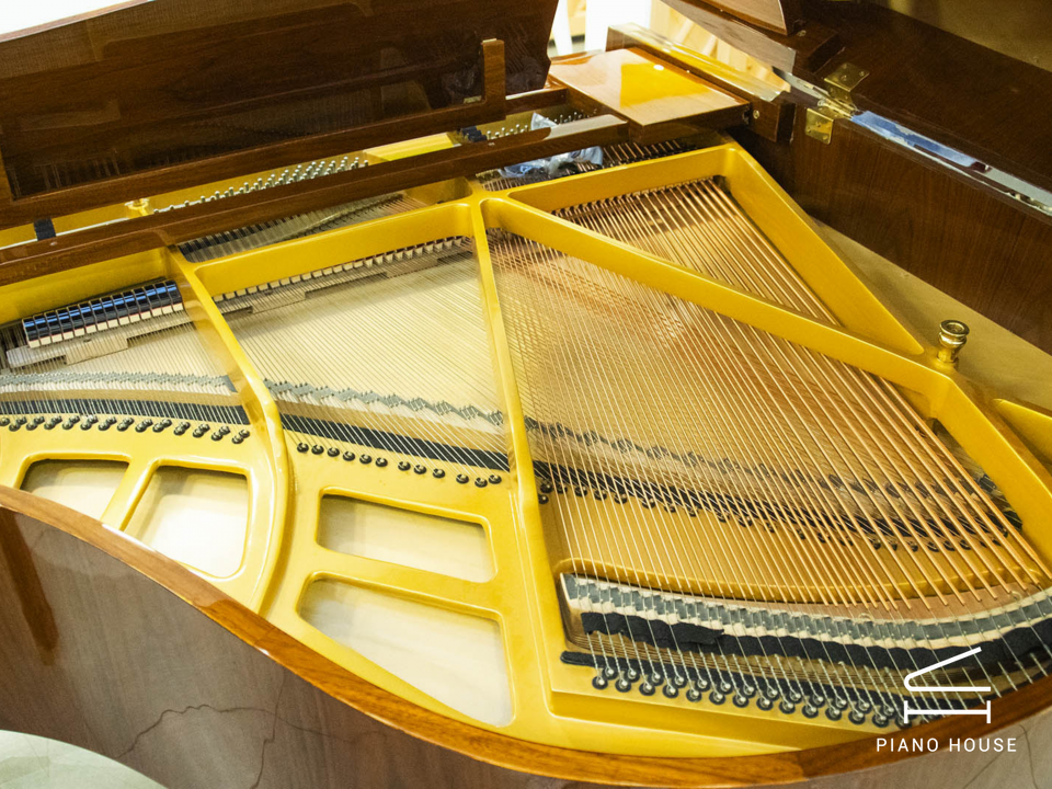 Steiner GP-152 Brown Self-Playing