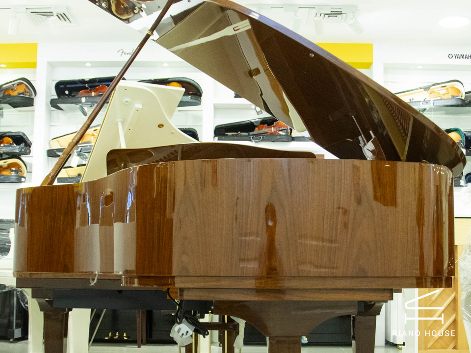 Steiner GP-152 Brown Self-Playing