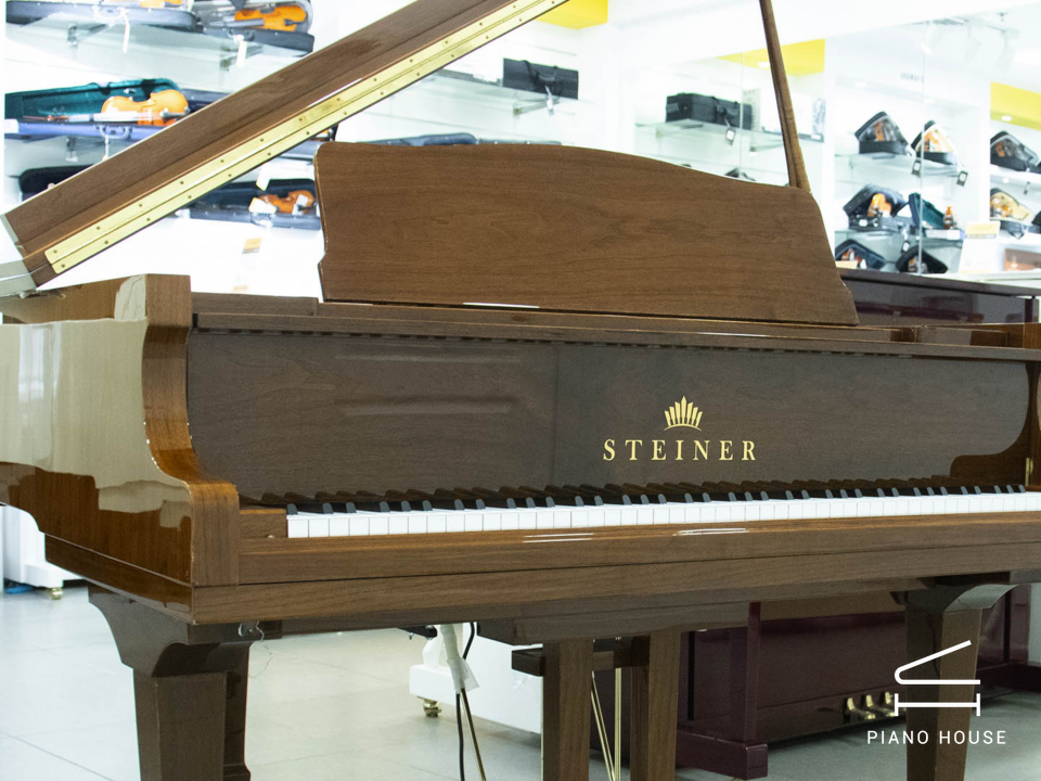 Steiner GP-152 Brown Self-Playing