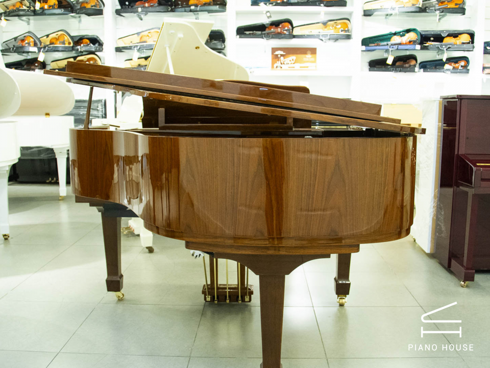 Steiner GP-152 Brown Self-Playing