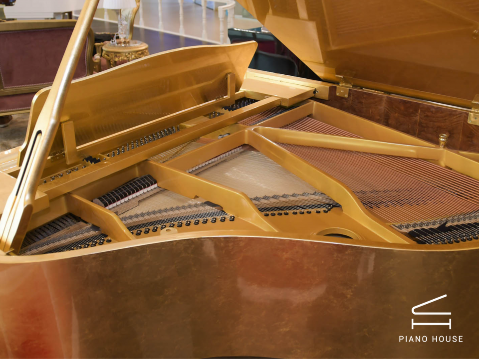 Steiner GP-152 GOLD Self-Playing