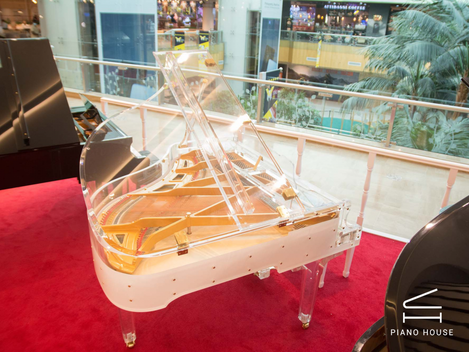 Steiner Crystal GP-168A