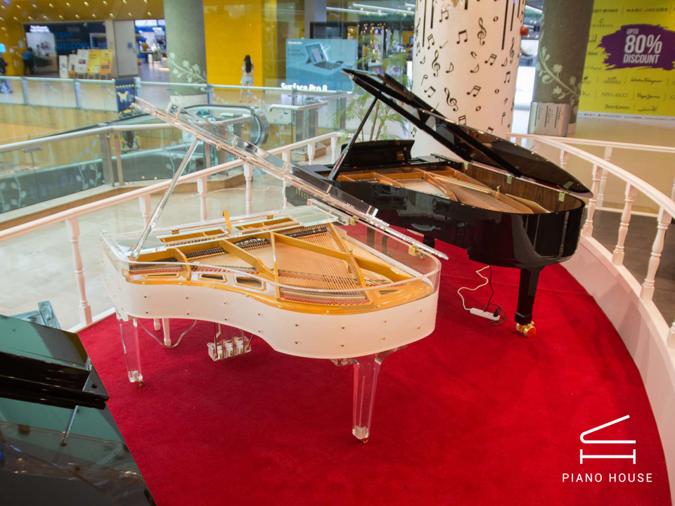 Steiner Crystal GP-168A