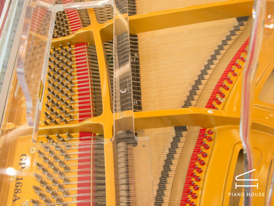 Steiner Crystal GP-168A