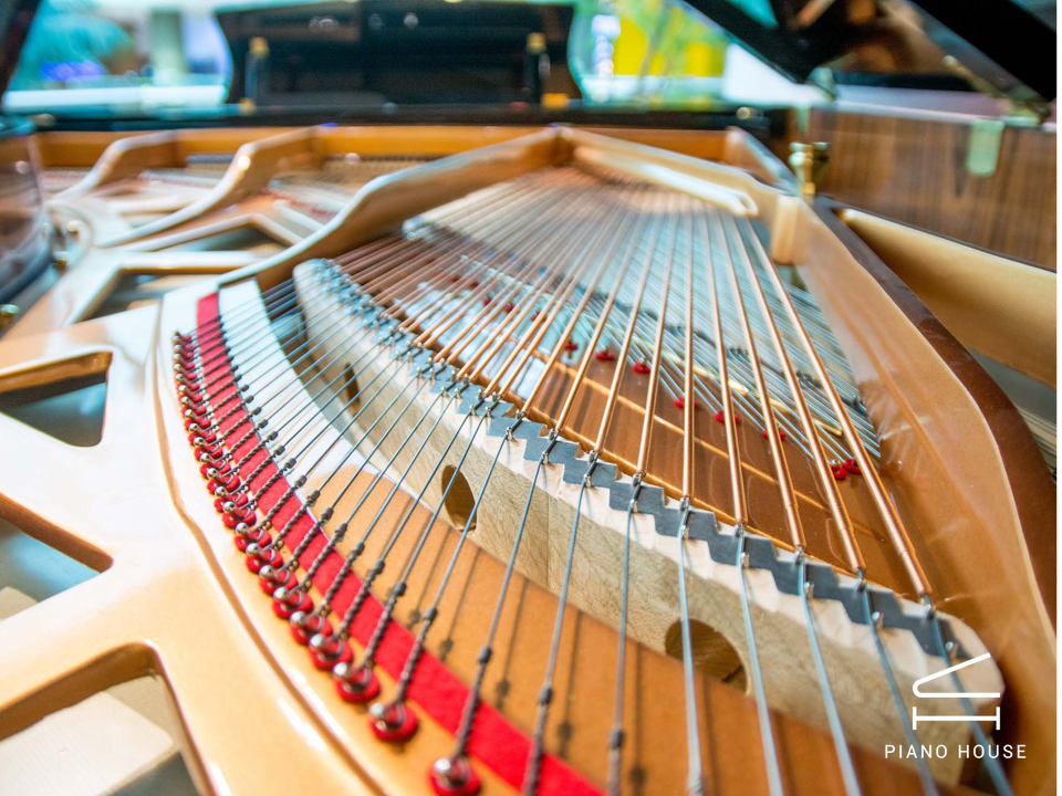 Steiner Crystal GP-168A