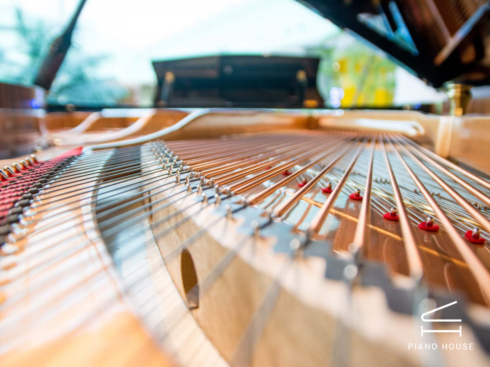 Steiner Crystal GP-168A