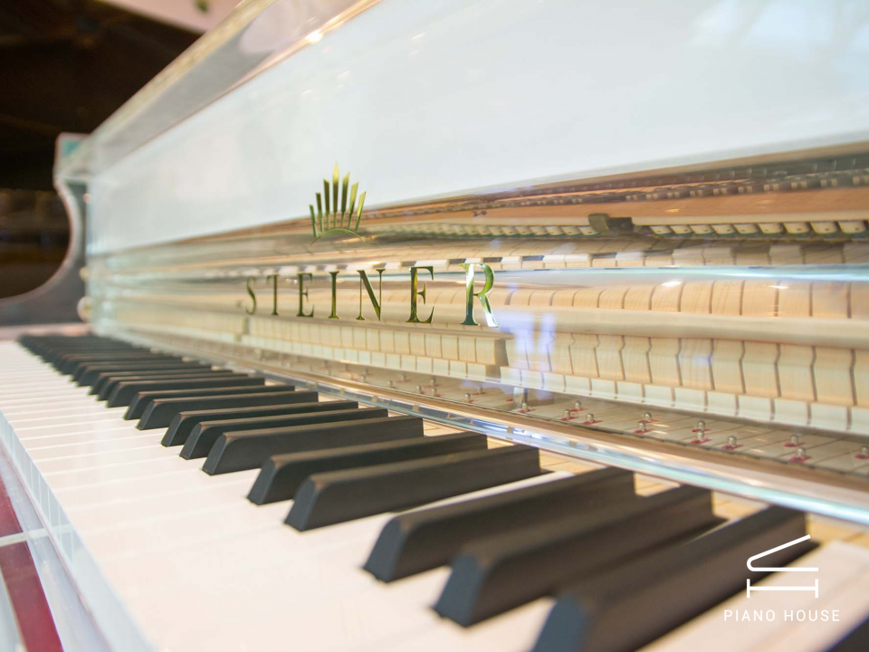 Steiner Crystal GP-168A