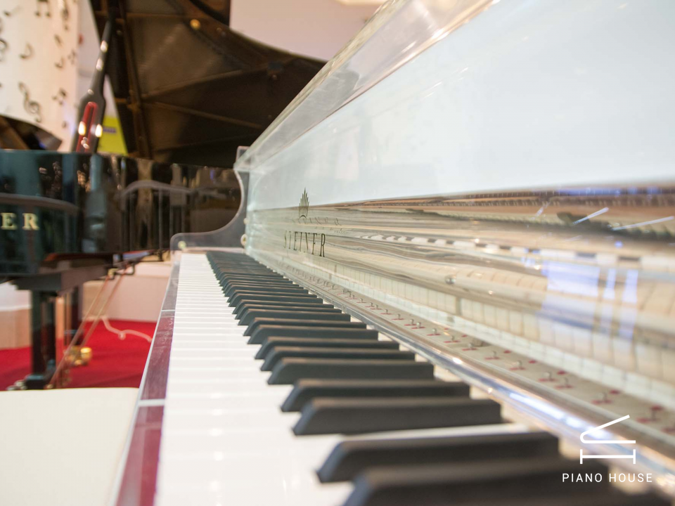 Steiner Crystal GP-168A